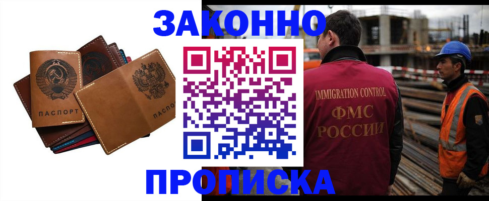 прописка в Купино